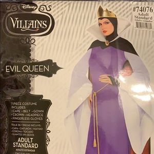 Evil Queen Halloween costume